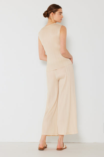 Pleated Wide-Leg Pants with Side Pleat Detail