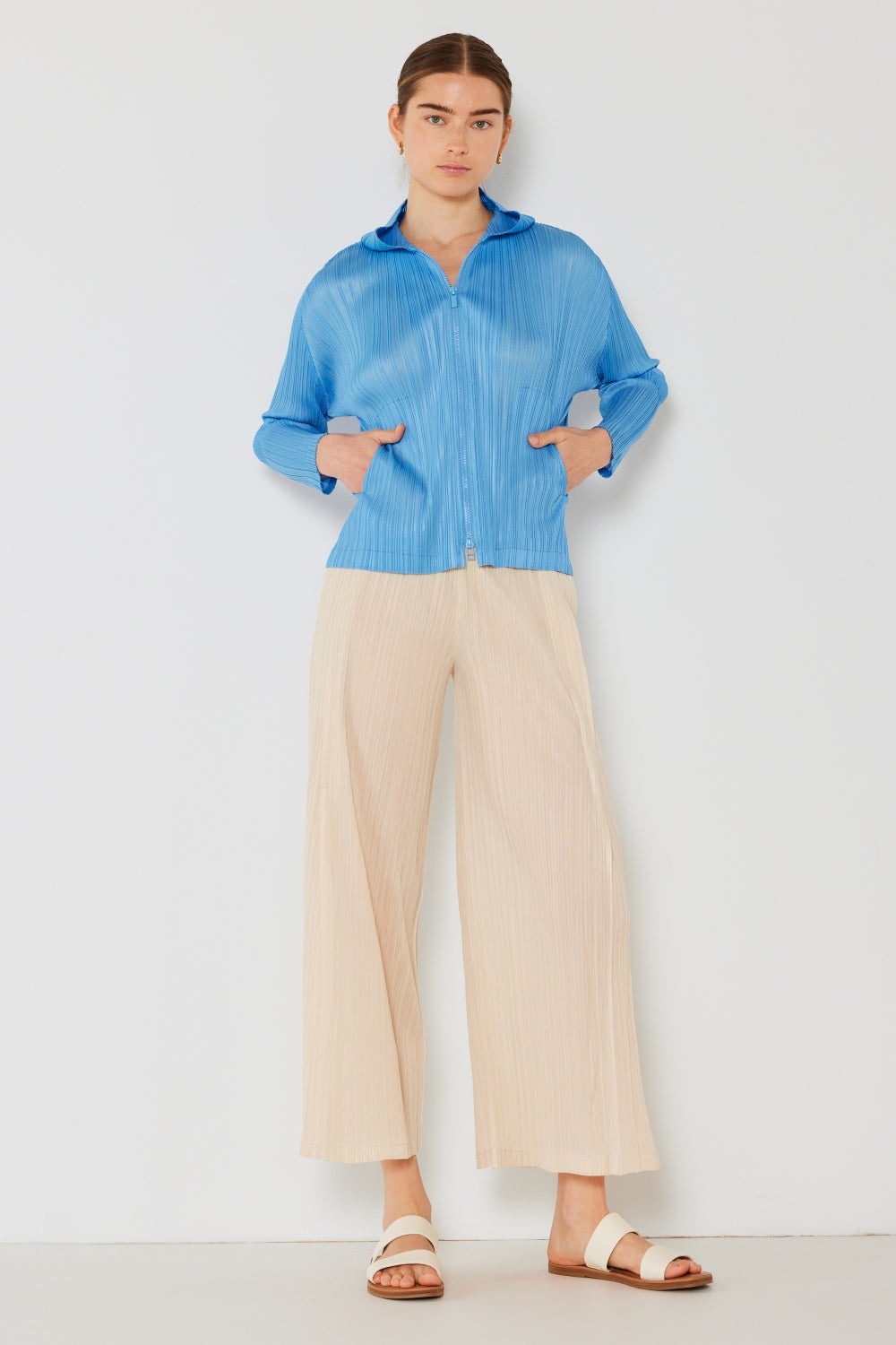 Pleated Wide-Leg Pants with Side Pleat Detail