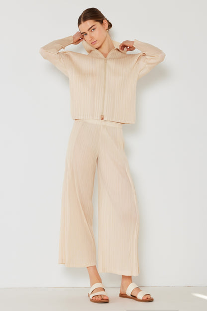 Pleated Wide-Leg Pants with Side Pleat Detail