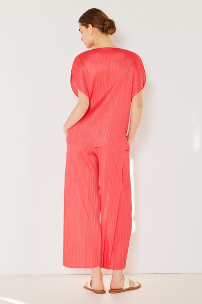 Pleated Wide-Leg Pants with Side Pleat Detail